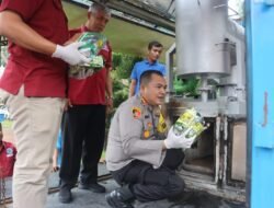 Musnahkan Barbut Narkoba, Polres Langkat Bakar 22,7 Kg Sabu dan 13,1 Kg Ganja