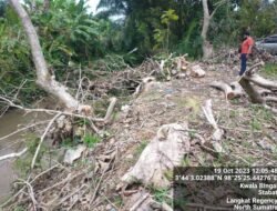 Oknum Polisi Diduaga Pembalak Liar Pohon Jati Aset PTPN 2 Diperiksa Propam Polres Langkat