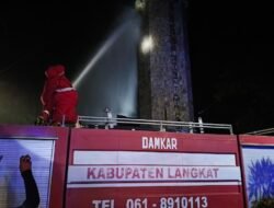 Tim Damkar Langkat Basmi Belasan Sarang Lebah di Tugu T Ami Hamzah