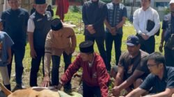Berbagi di Idul Adha, DPW Partai NasDem Sumut Sembelih 3 Hewan Qurban