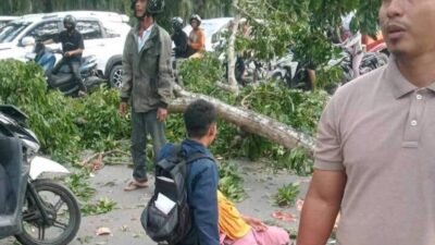 Dahan Pohon di Stabat ‘Makan’ Korban, Warga: Copot Kadis LH Langkat
