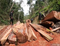 Ketua NasDem Sumut Desak Menhut Buka Data Perusahaan Perusak Hutan