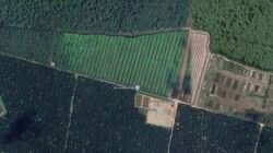 Oknum Kapolsek Rambah Hutan Lindung, Kapolres Langkat ‘Stecu’