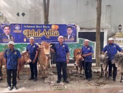 Idul Adha 1447 H, KOMBAT Sembelih 6 Hewan Qurban